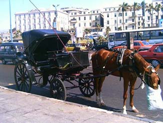 Traditional Carriage in Alexandria