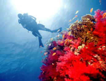 Sharm el Sheikh is one of the